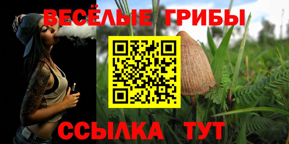 Ишимбай  Галлюциногенные грибы GOLDEN TEACHER  Вход с VPN 
